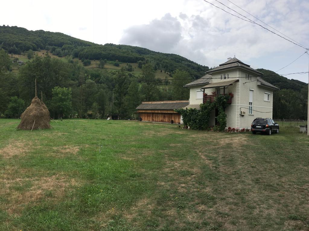 Willa Casa Danut Vidra  Zewnętrze zdjęcie